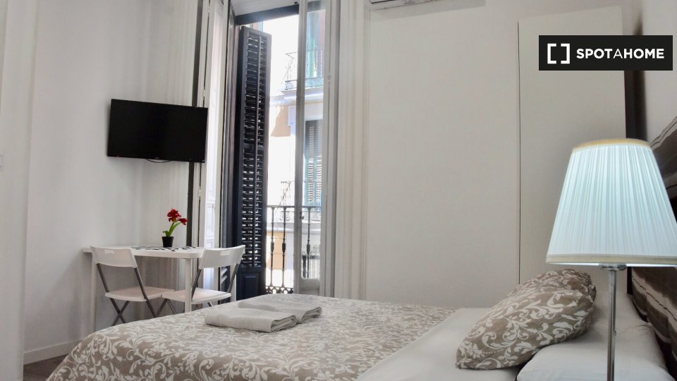 Apartment mono Madrid, 19m² — photo 1