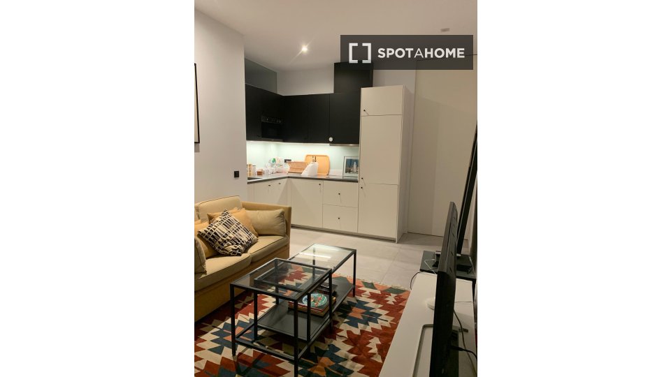 Double room Madrid, 1 bed, 180m² — photo 12