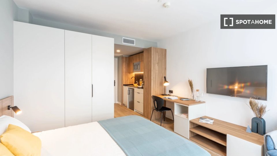 Apartment mono Madrid — photo 8