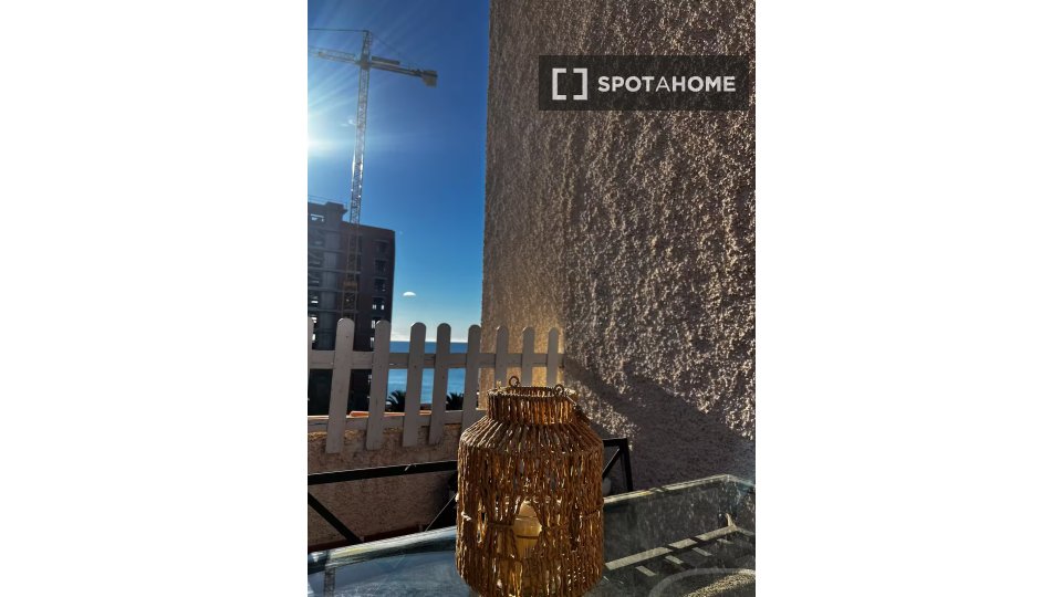 Apartment mono Murcia, 70m² — photo 20