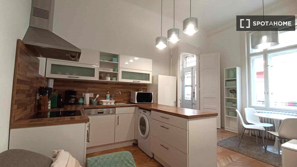 Apartment mono Budapest, 49m² — photo 4