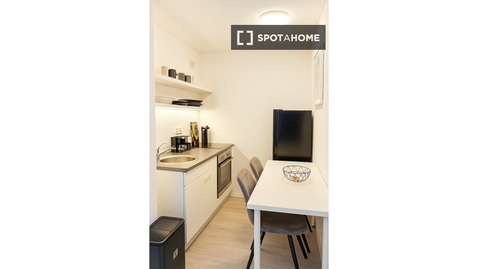 Apartment mono Munich — photo 5