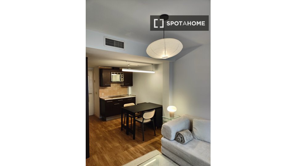 Apartment Madrid, 1 bed — photo 8