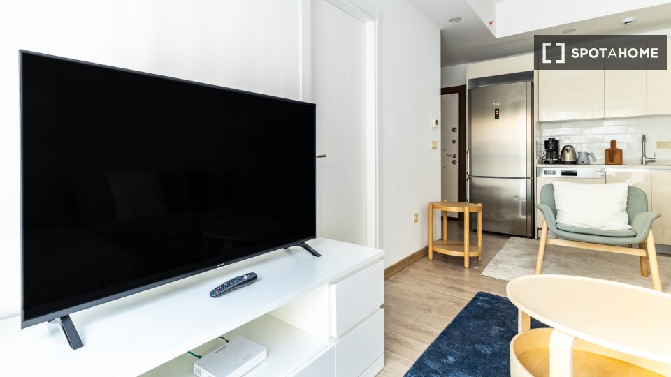 Apartment Istanbul, 1 bed — photo 15