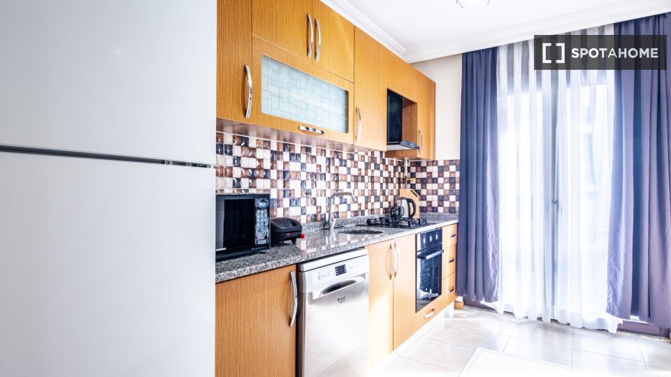 Apartment Istanbul, 1 bed — photo 17