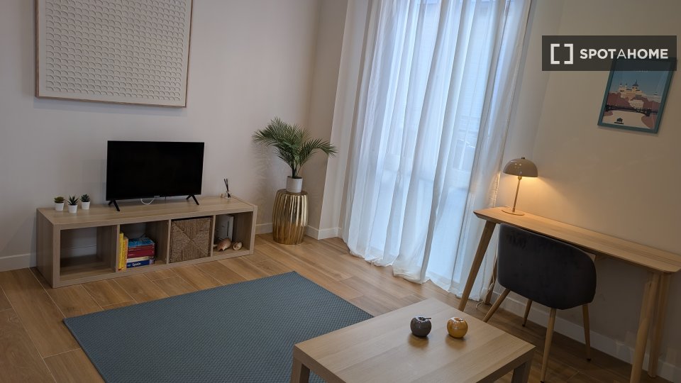 Apartment mono Madrid — photo 18