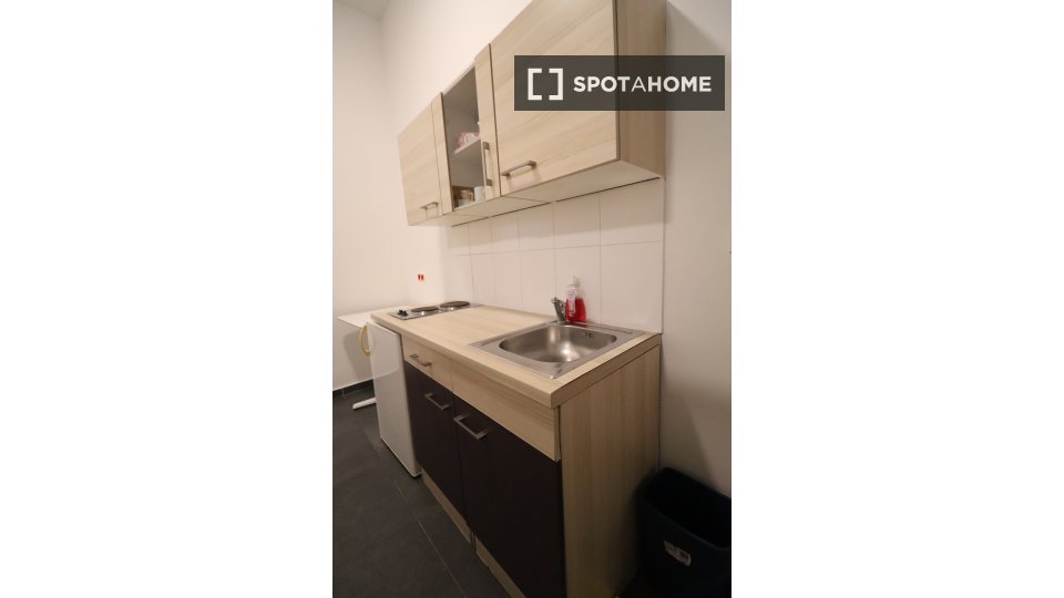 Apartment mono Vienna — photo 10