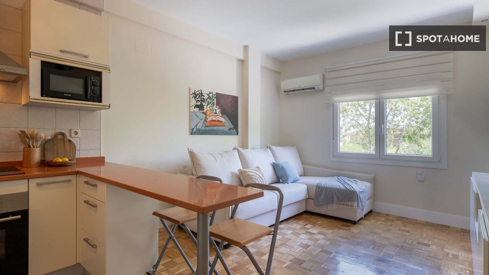 Apartment mono Madrid, 47m² — photo 7