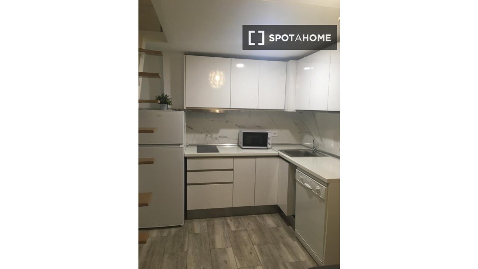 Apartment mono Madrid, 25m² — photo 10