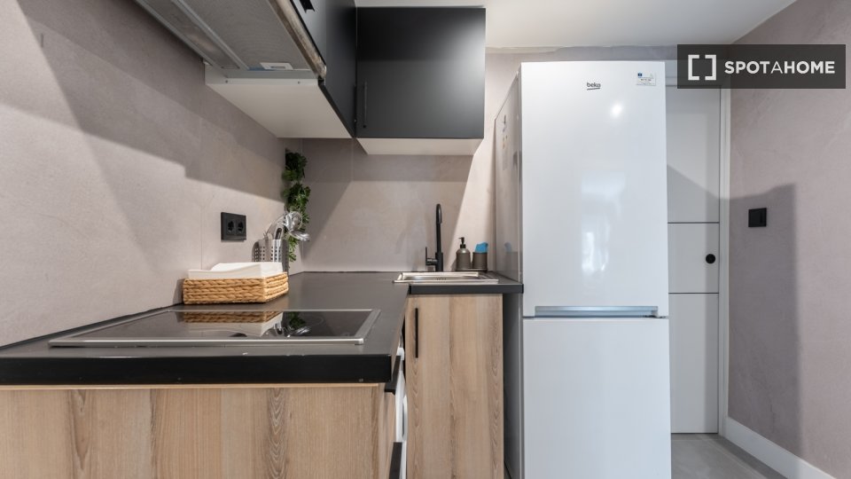 Double room Madrid, 6 beds, 70m² — photo 15