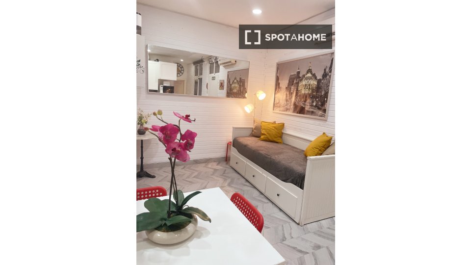 Apartment mono Madrid, 25m² — photo 11