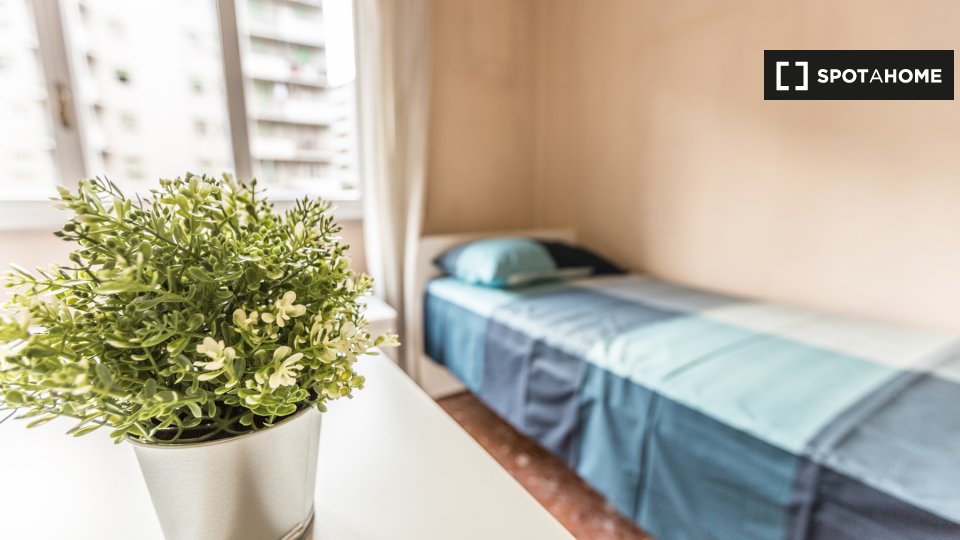 Double room Rome, 4 beds — photo 10