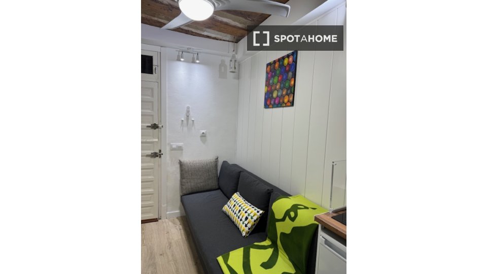 Apartment mono Madrid, 13m² — photo 5