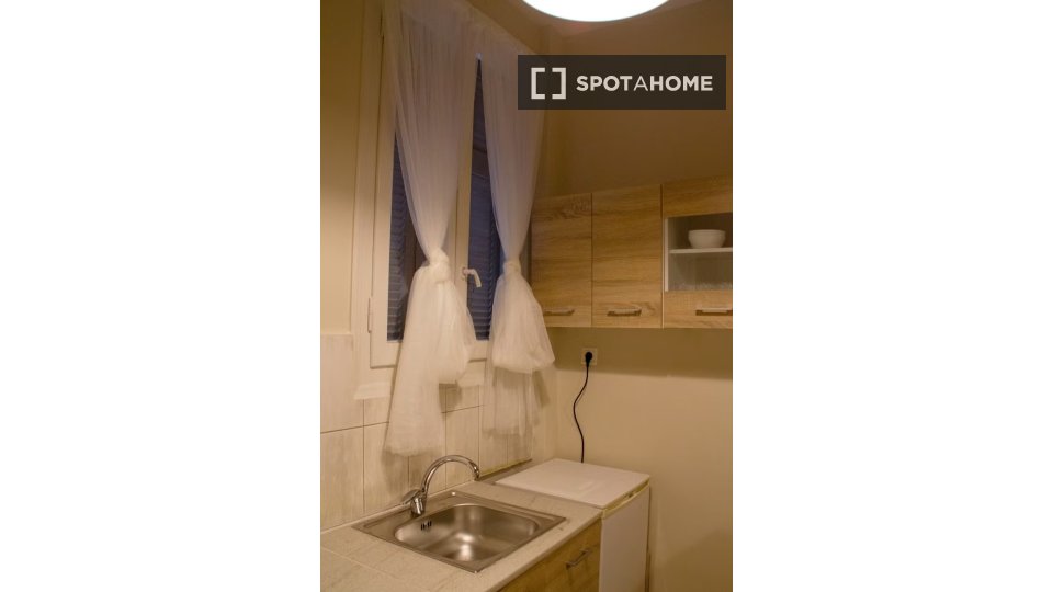 Double room Athens, 2 beds — photo 4