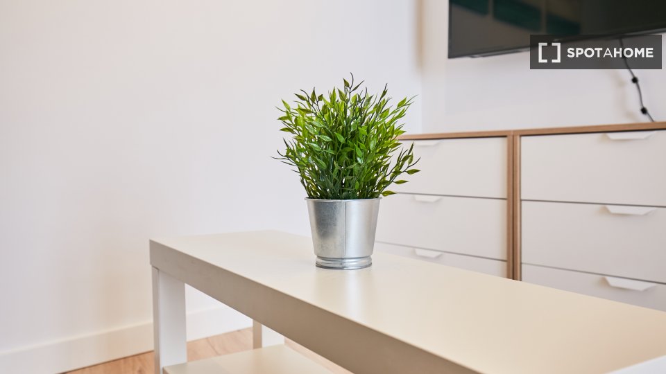 Apartment mono Madrid, 30m² — photo 18