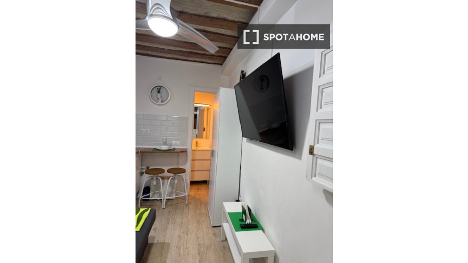 Apartment mono Madrid, 13m² — photo 3