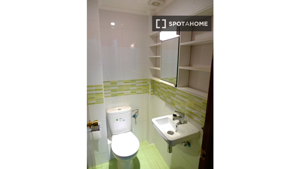 Double room Madrid, 1 bed, 110m² — photo 11