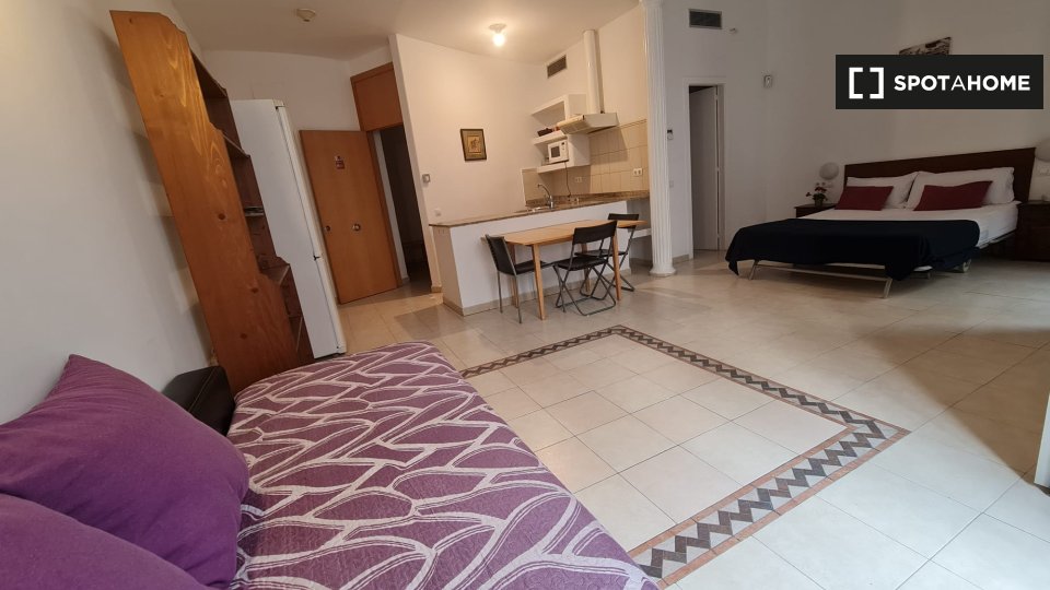 Apartment mono Barcelone — photo 10