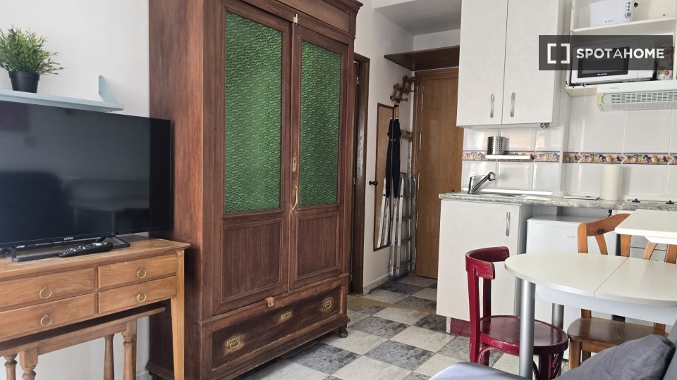 Apartment mono Madrid — photo 31