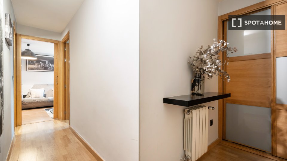 Apartment Madrid, 1 bed, 100m² — photo 33