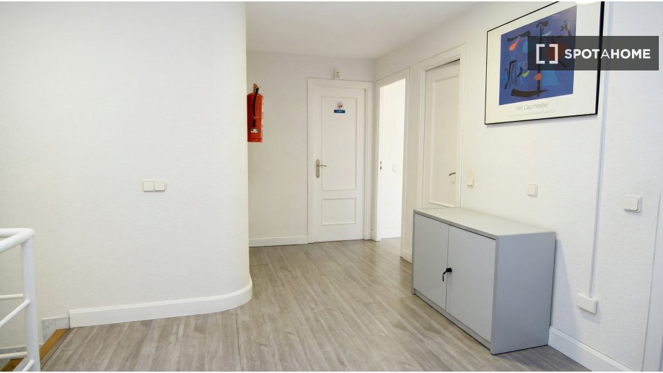 Apartment Madrid, 10 beds — photo 13