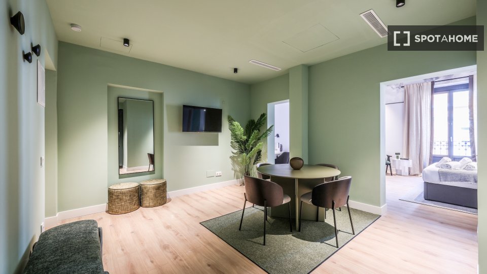 Apartment mono Madrid, 25m² — photo 2