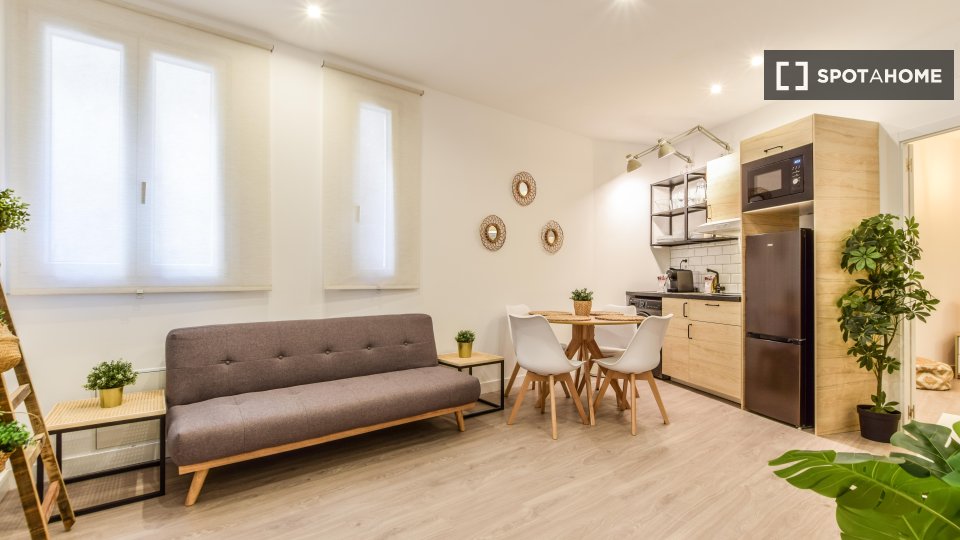 Double room Madrid, 2 beds, 60m² — photo 5