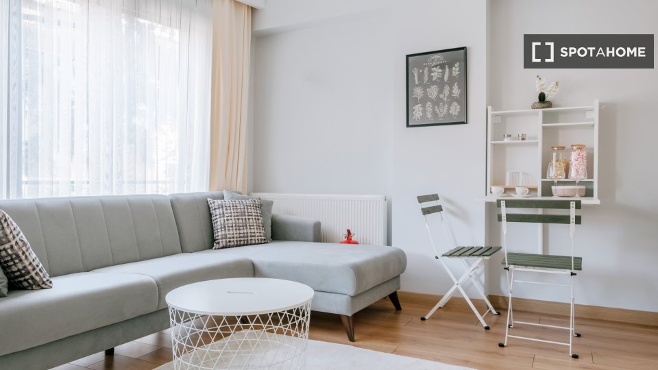 Apartment Istanbul, 1 bed — photo 6