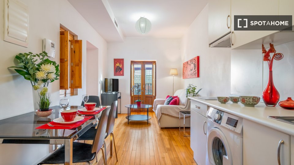 Apartment Madrid, 1 bed — photo 2
