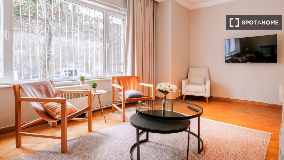 Apartment Istanbul, 1 bed — photo 2