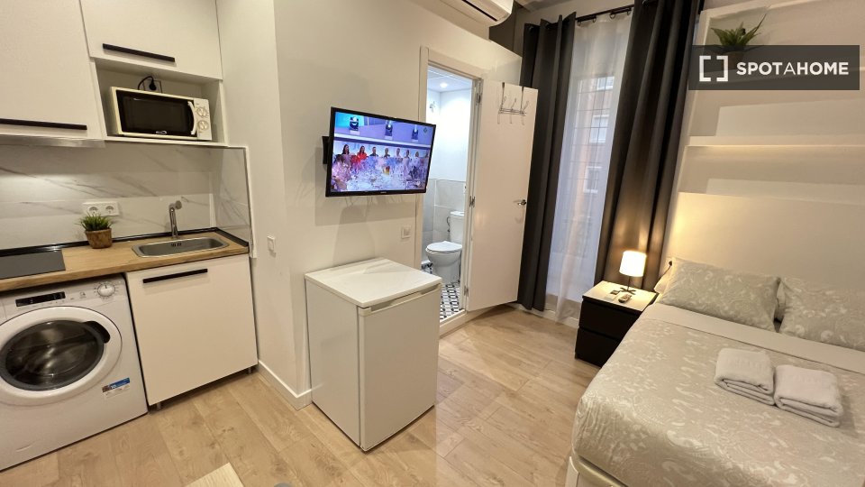 Apartment mono Madrid — photo 34
