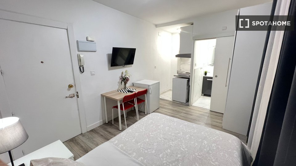 Apartment mono Madrid — photo 20