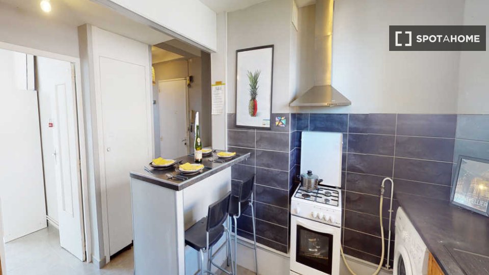 Double room Montpellier, 4 beds, 90m² — photo 9