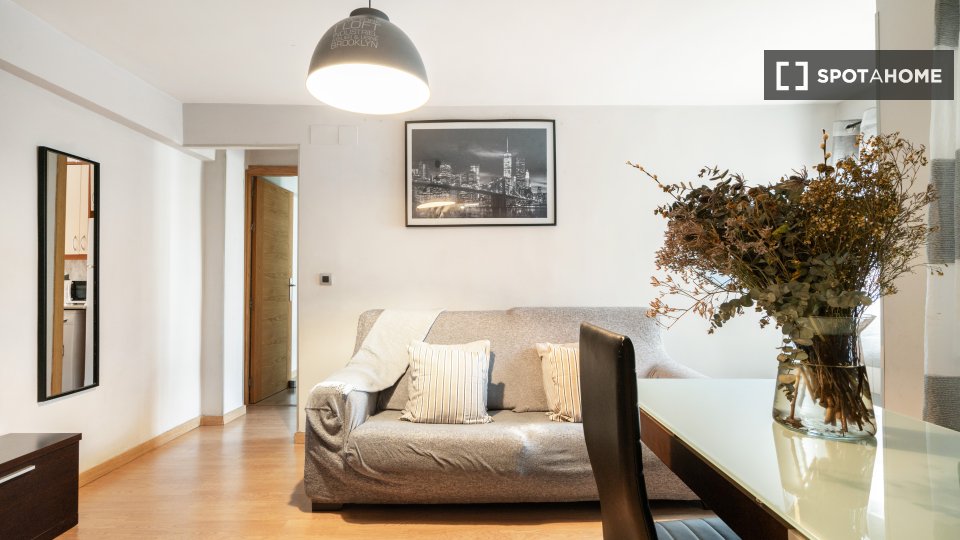Apartment Madrid, 1 bed, 100m² — photo 29