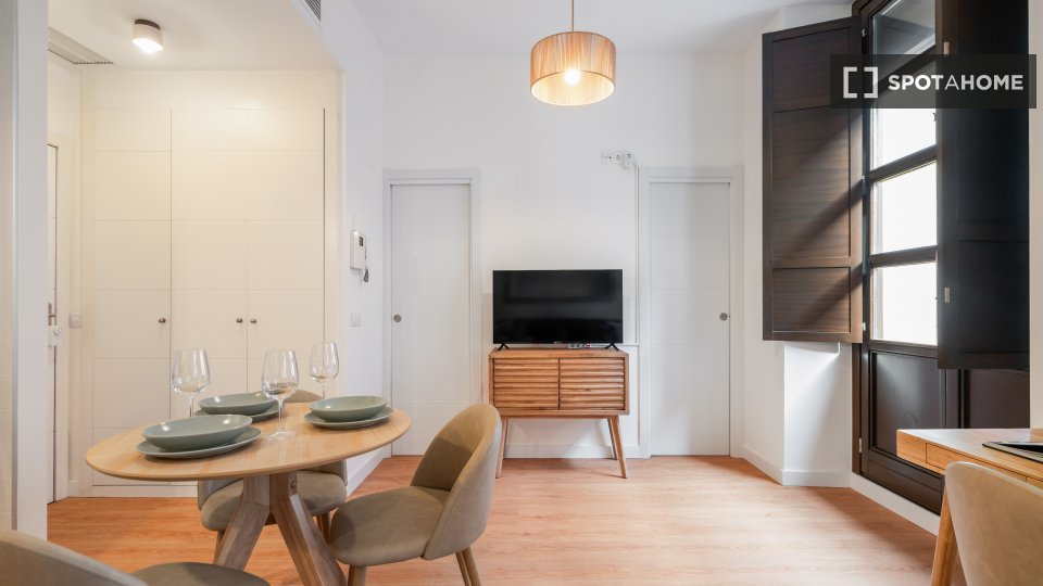 Apartment Madrid, 1 bed, 40m² — photo 12