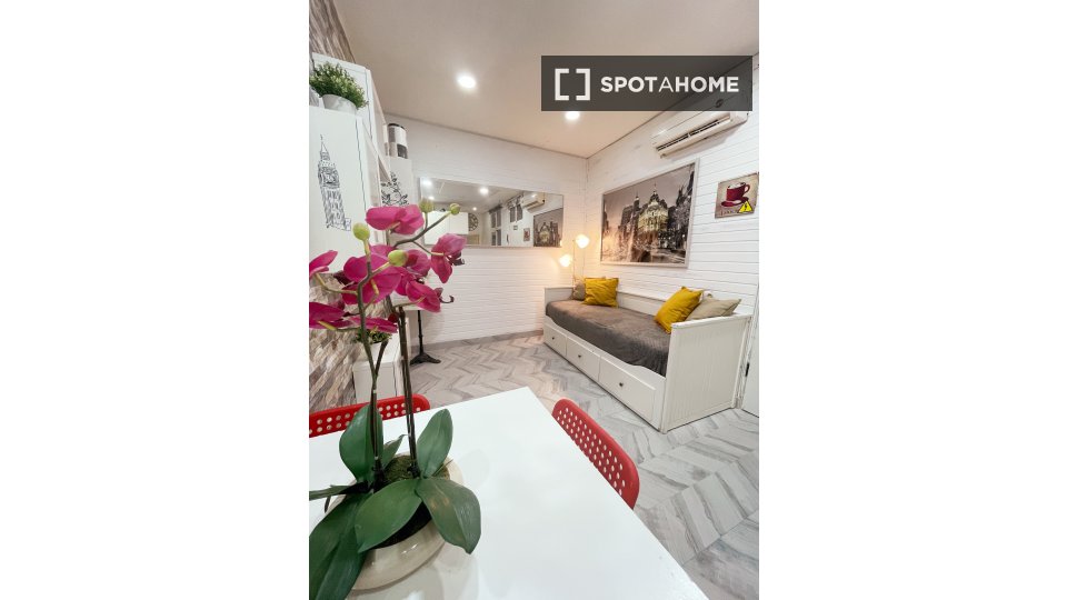 Apartment mono Madrid, 25m² — photo 7