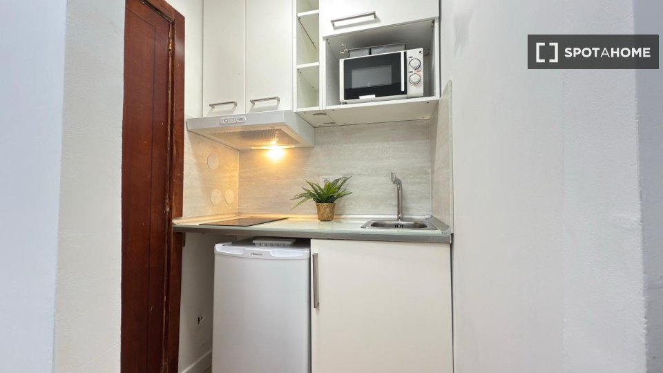 Apartment mono Madrid — photo 31