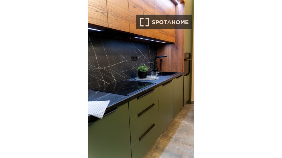 Apartment mono Budapest, 42m² — photo 8