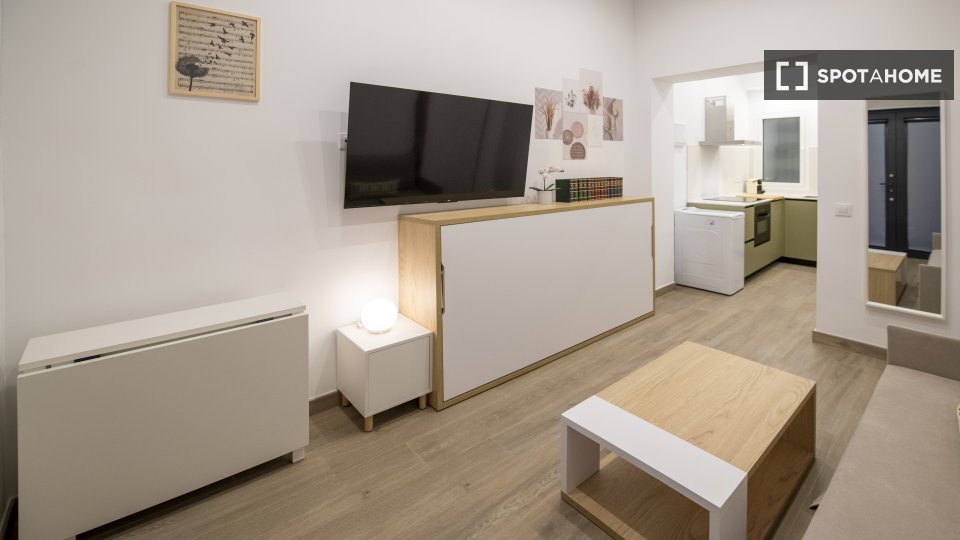 Apartment mono Madrid — photo 2