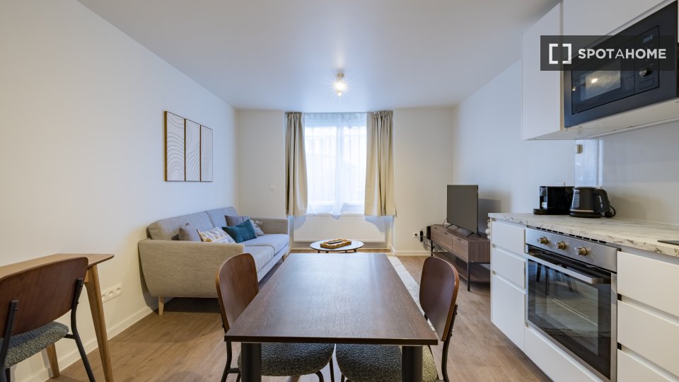 Apartment mono Brussels, 45m² — photo 5