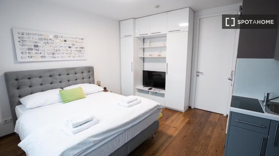 Apartment Vienna, 1 bed, 20m² — photo 3