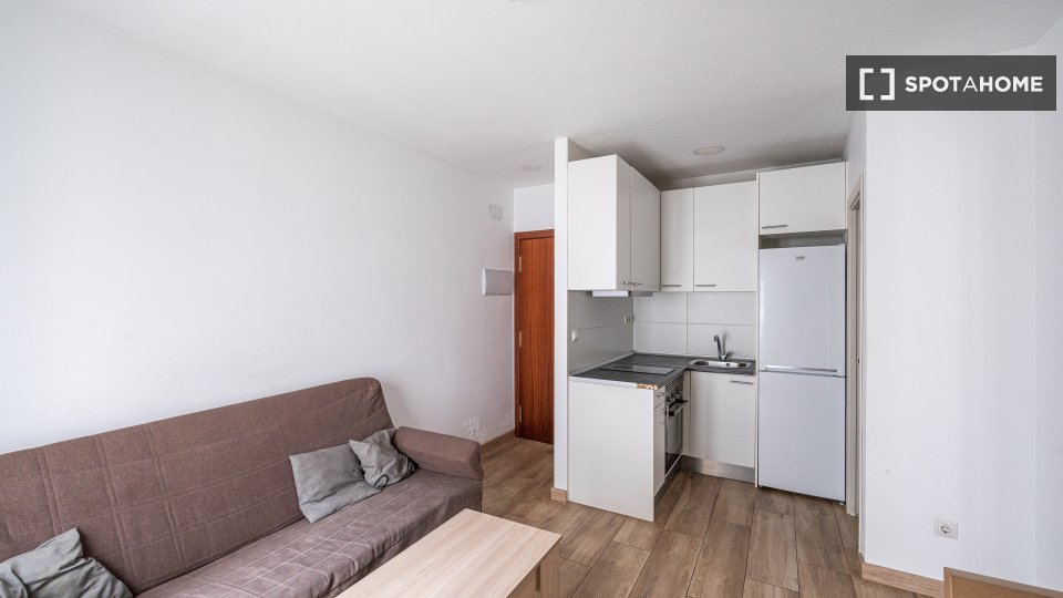 Apartment Madrid, 1 bed — photo 1
