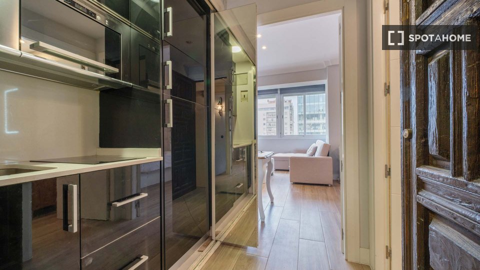 Apartment Madrid, 1 bed — photo 28