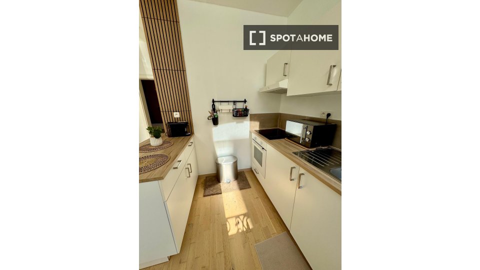 Apartment Liege, 1 bed, 43m² — photo 4