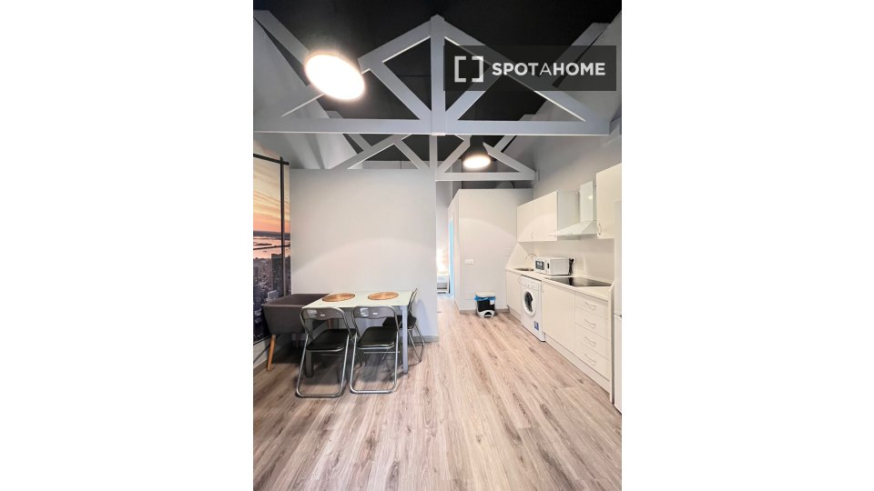 Apartment Madrid, 1 bed — photo 11