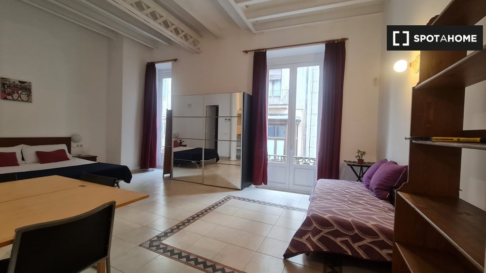 Apartment mono Barcelone — photo 5
