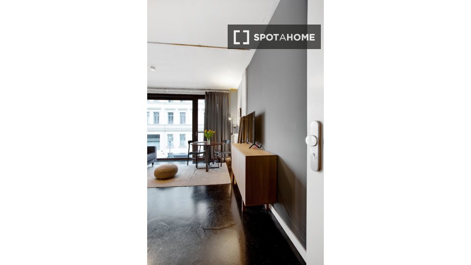 Apartment mono Berlin, 33m² — photo 17