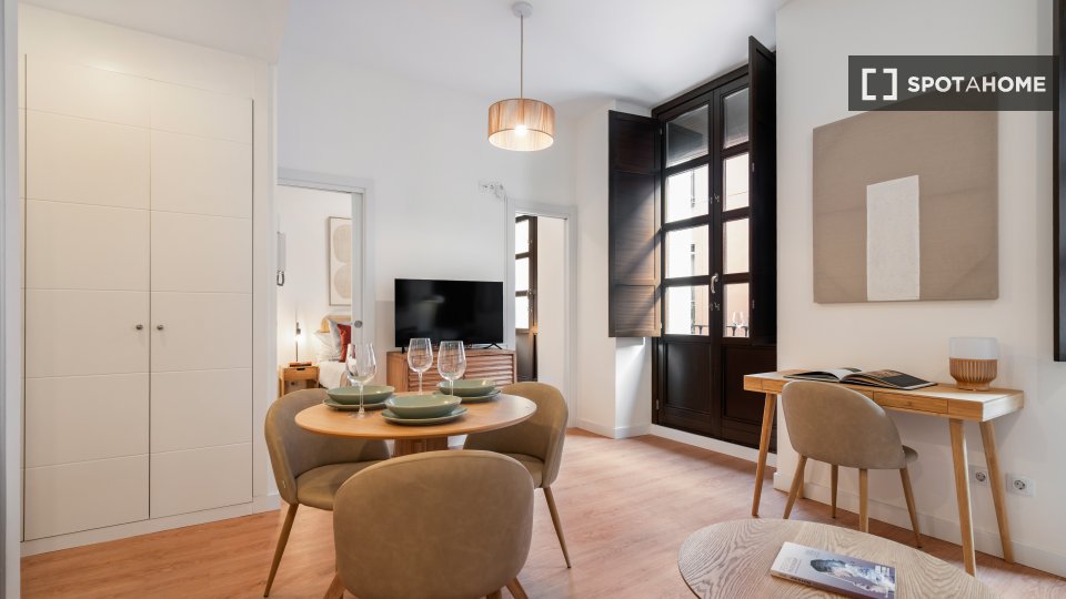 Apartment Madrid, 1 bed, 40m² — photo 4