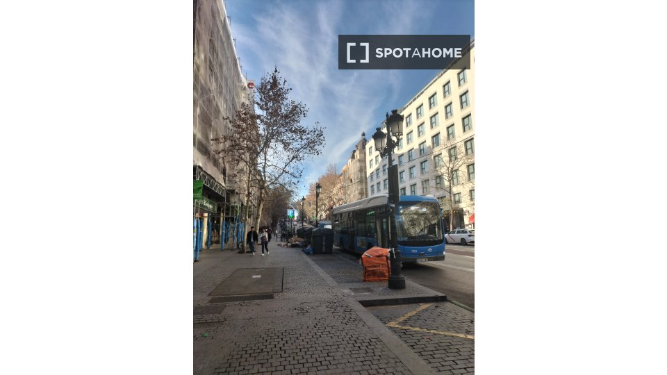 Double room Madrid, 5 beds, 100m² — photo 3