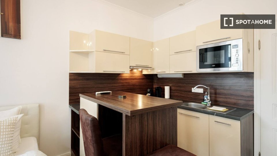 Apartment mono Vienna, 31m² — photo 5